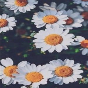 Meet your Posher, Gurleena